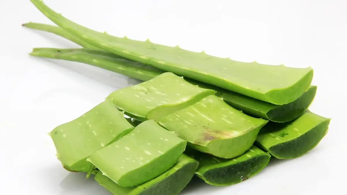 Jak pozbyć się łupieżu? Skuteczne domowe sposoby i naturalne
